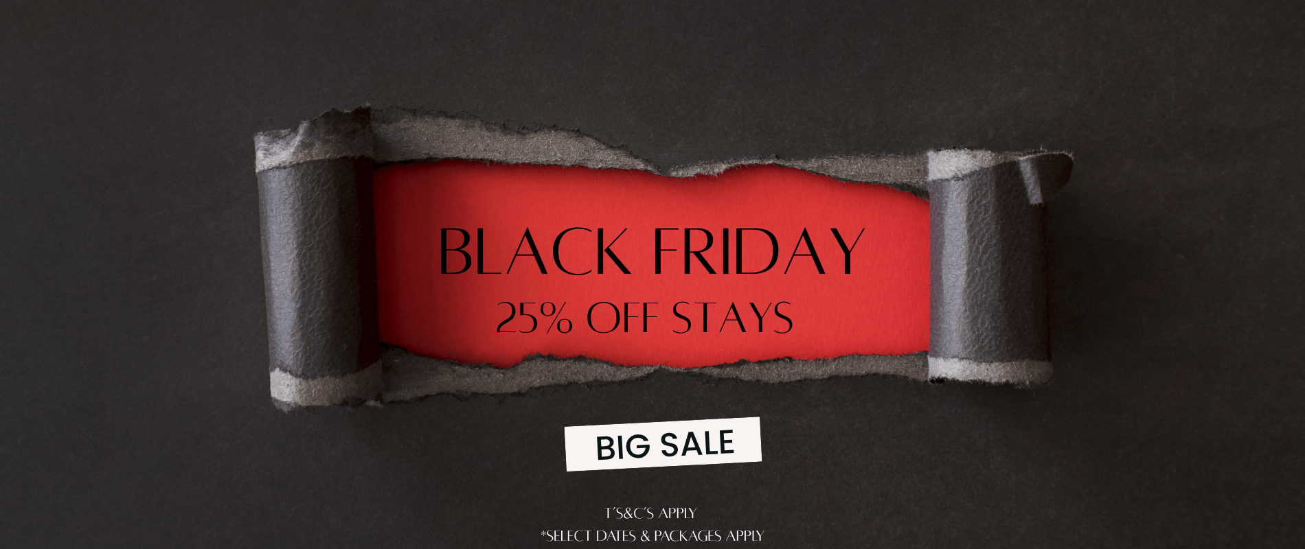 Black Friday Offer(1900 x 800 px) (2)