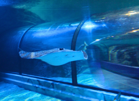 Untitled design www.lamon.co.uk