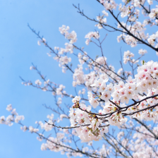 Untitled design www.lamon.co.uk