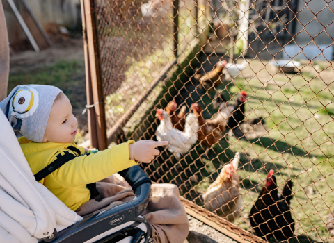 A family enjoying a day out at the farm