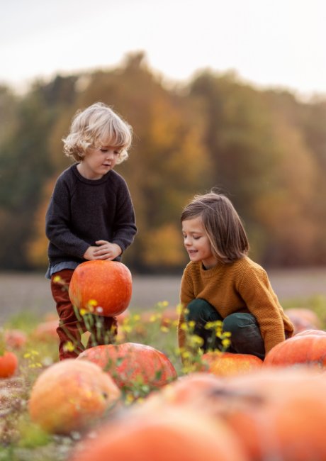 Halloween Family Breaks