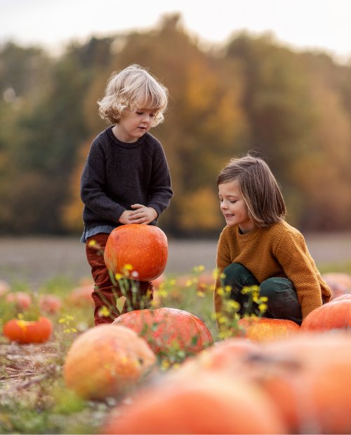 Halloween Breaks