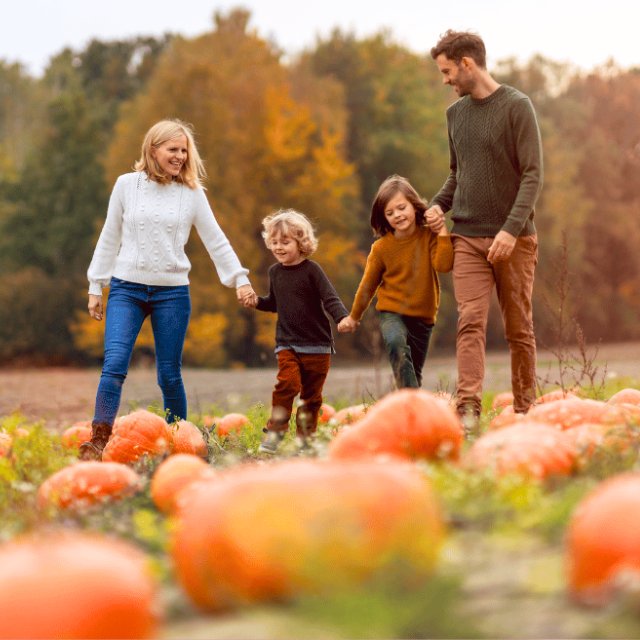 La Mon Pumpkin Patch