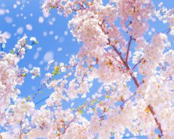 Relax and unwind with Dinner, Bed, Breakfast & Prosecco from £97.50 per person sharing.